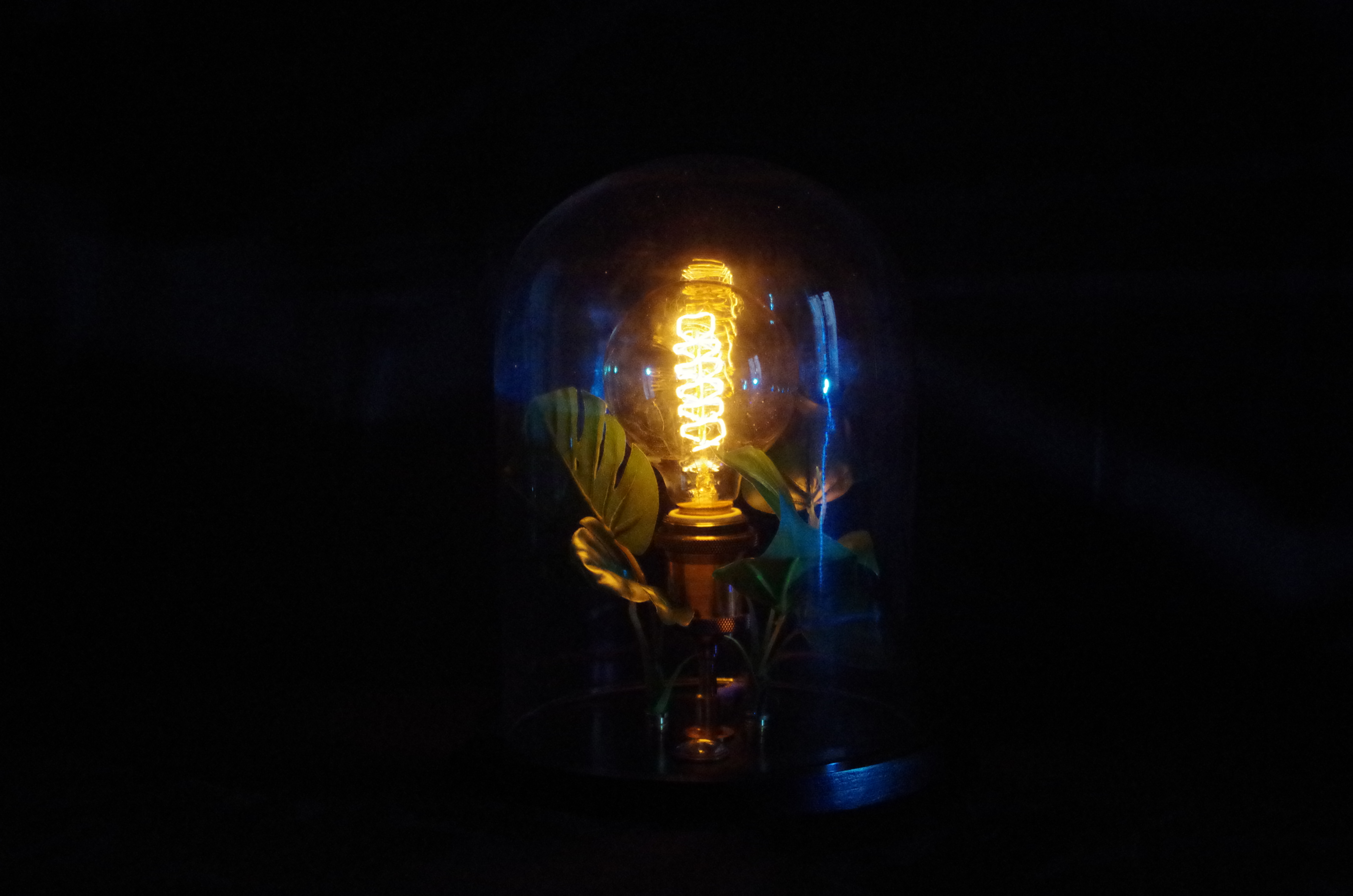 Vibe Capsule 1